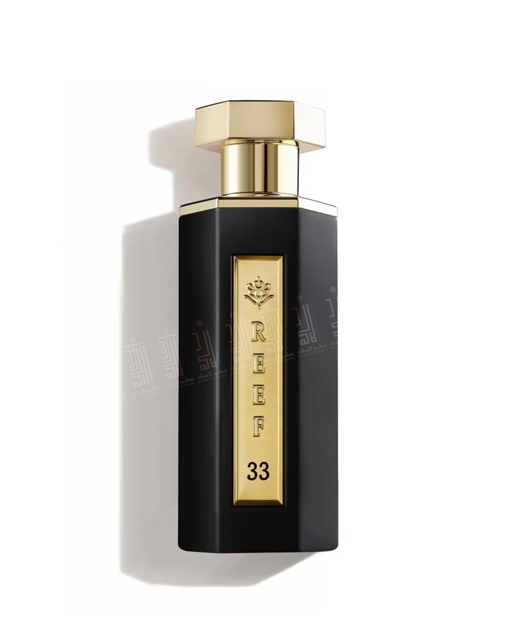 REEF 33 - 100ml