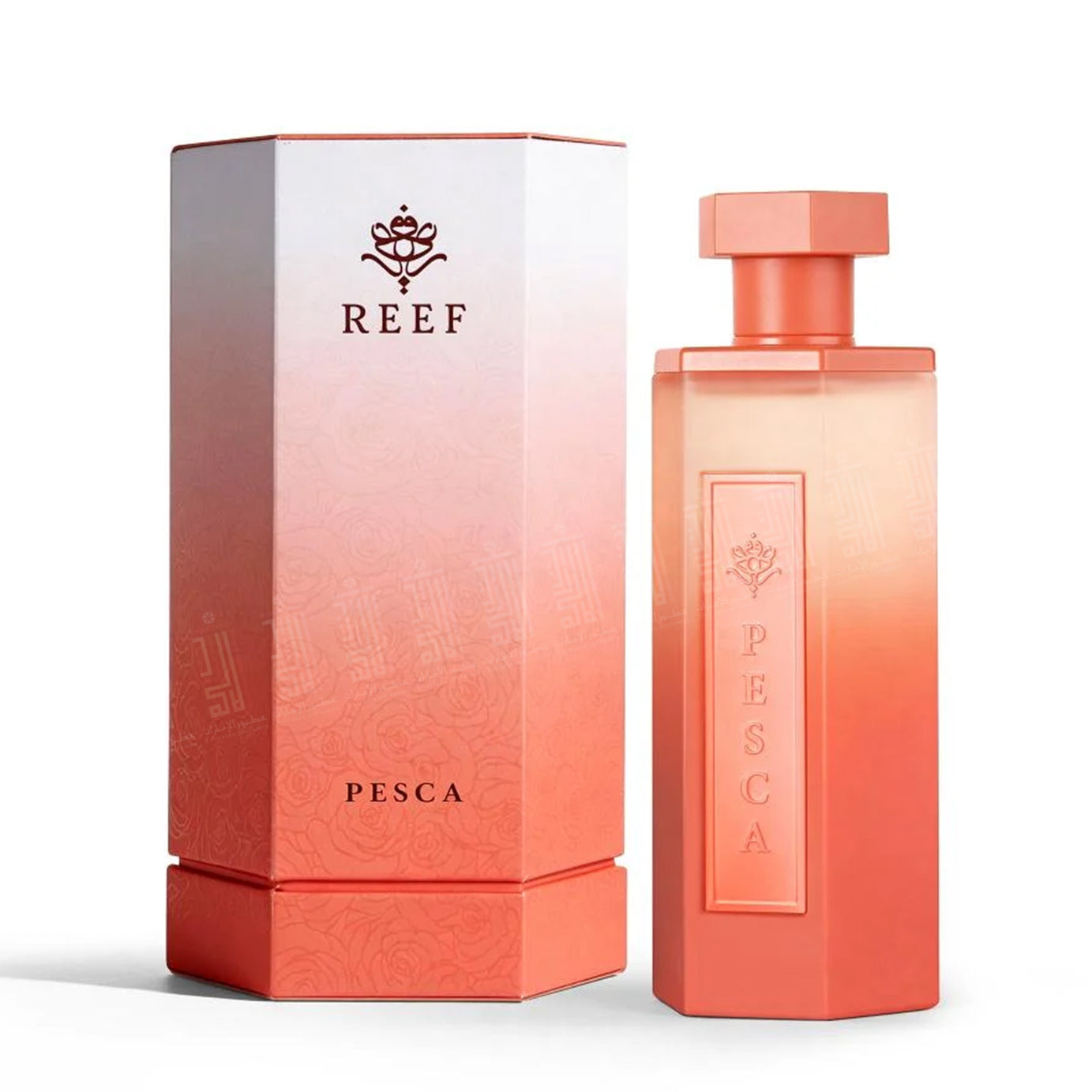 REEF Pesca - 200ml