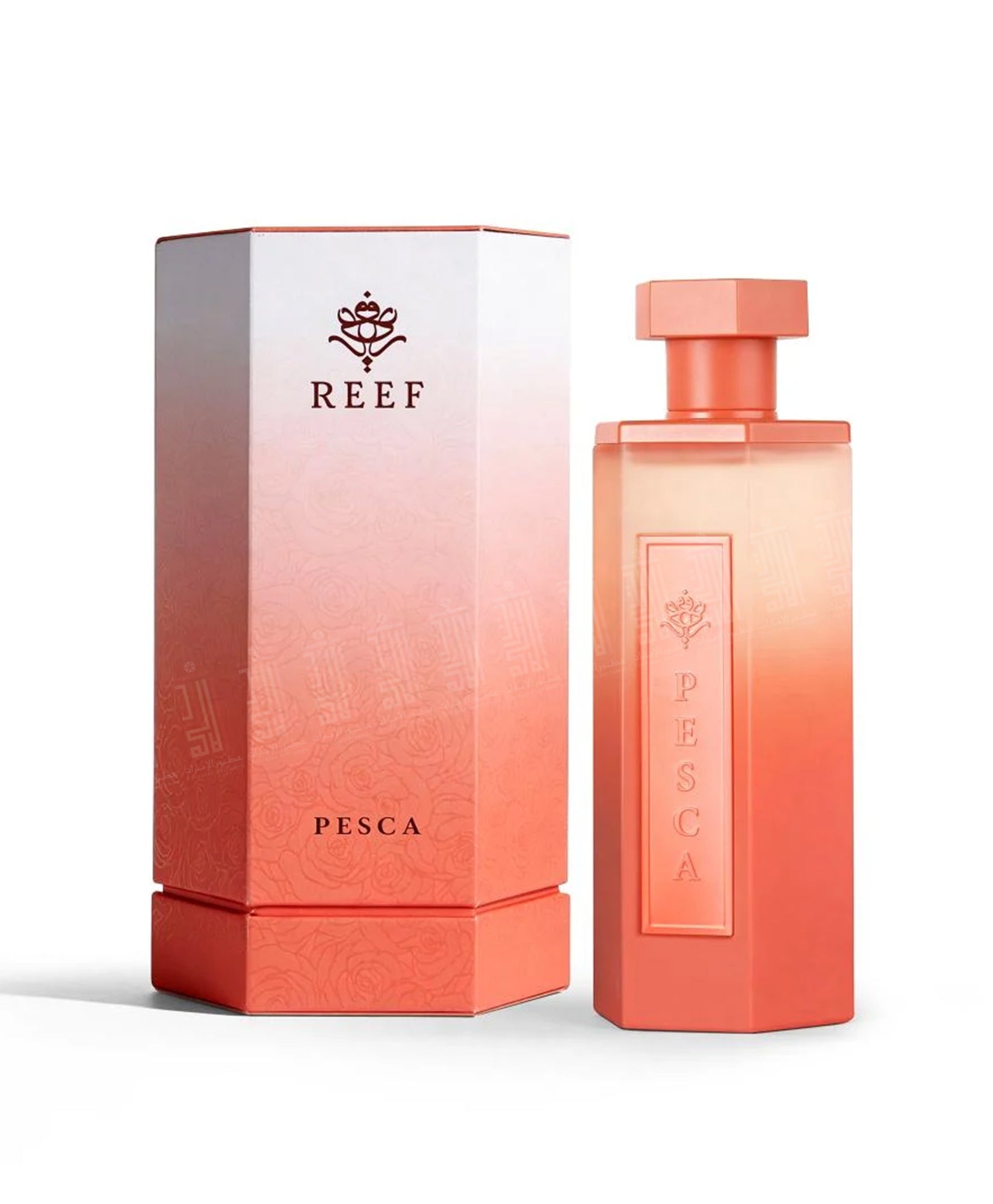 REEF Pesca - 200ml