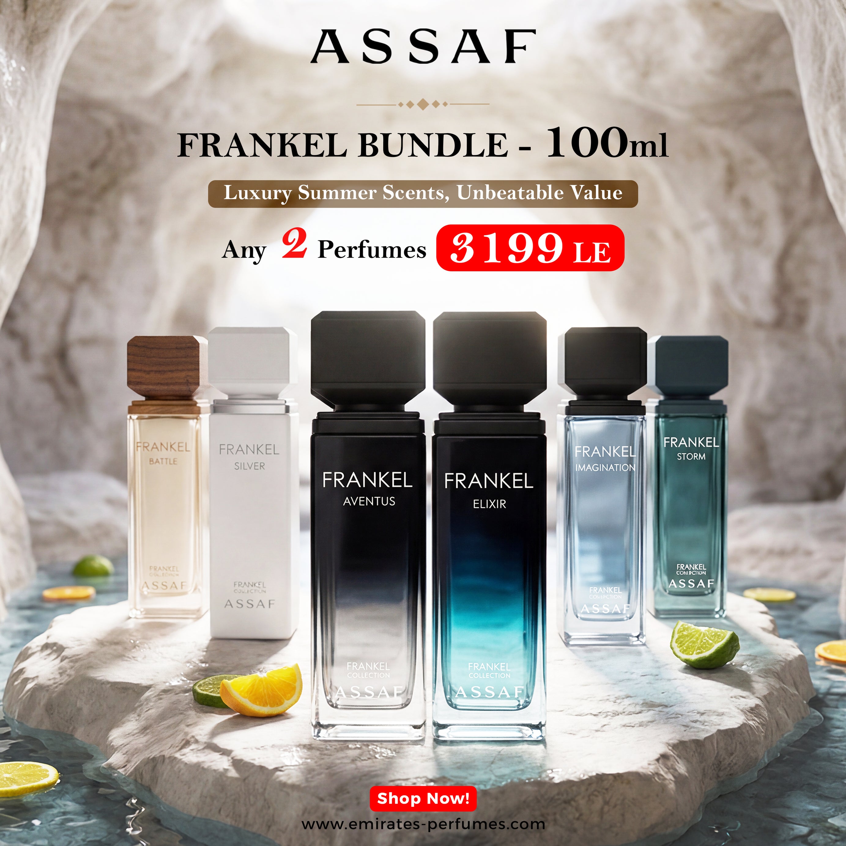 Frankel Bundle